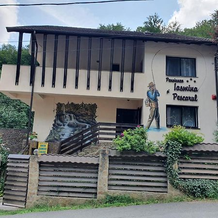 Pensiunea Iasmina Si Pescarul Călimăneşti Exterior foto